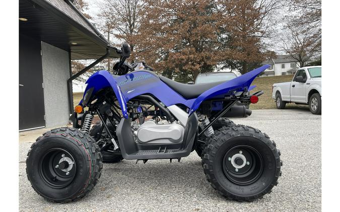 2024 Yamaha Raptor 110