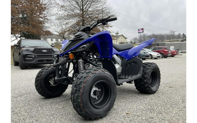 2024 Yamaha Raptor 110