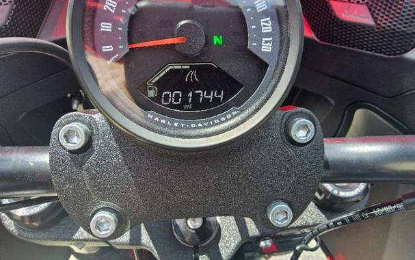 2025 Harley-Davidson Low Rider® ST