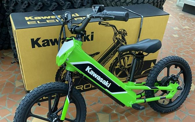 2023 Kawasaki Elektrode™