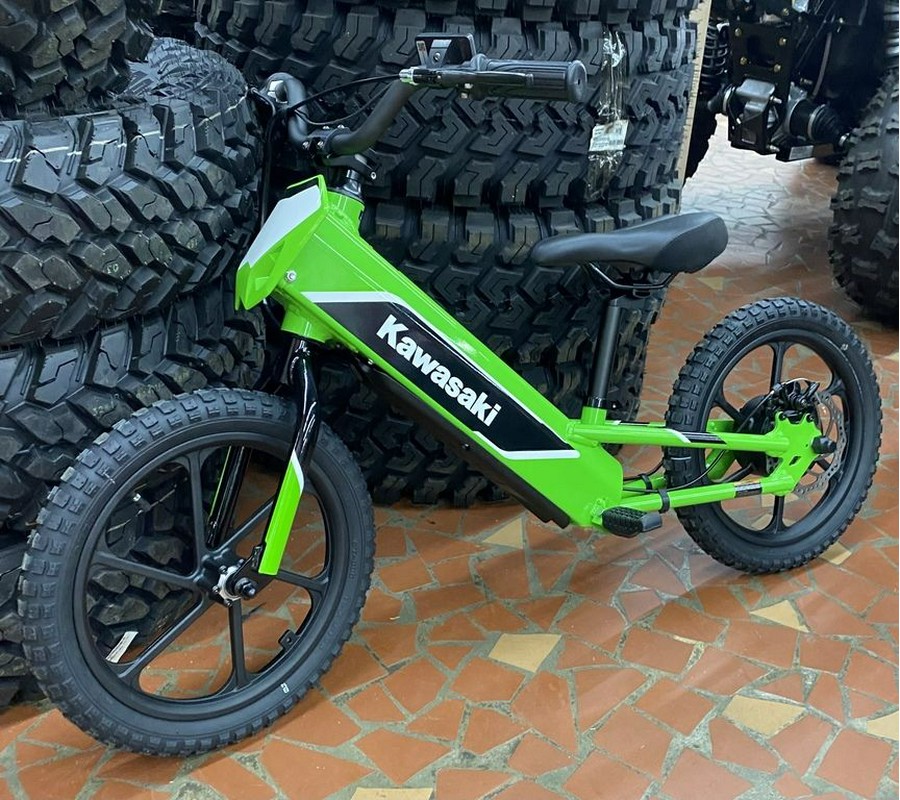 2023 Kawasaki Elektrode™