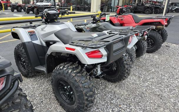 2026 Honda® FourTrax Rubicon 700 4x4 Automatic Matte Silver