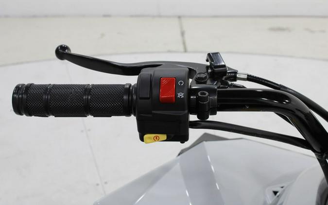 2026 Can-Am Renegade 110 EFI