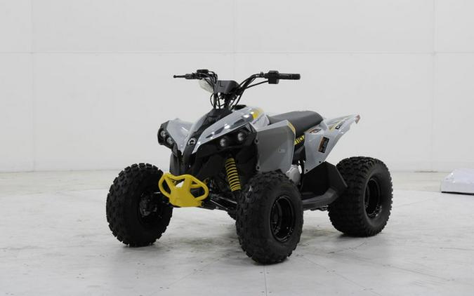 2026 Can-Am Renegade 110 EFI