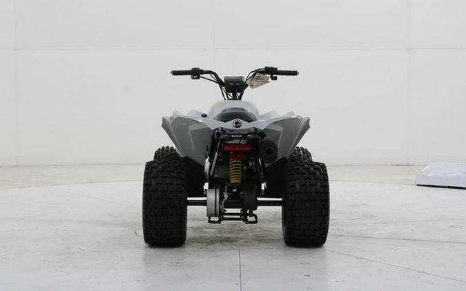 2026 Can-Am Renegade 110 EFI