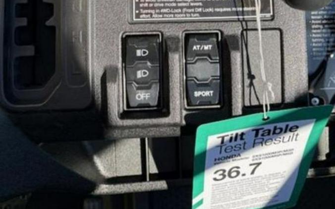 2025 Honda® Pioneer 1000-5