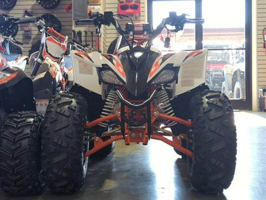 2026 Kayo Predator 110