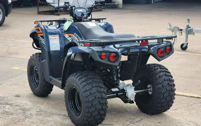 New 2024 Kawasaki BRUTE FORCE 300