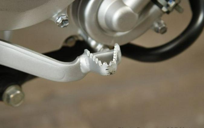 2024 Kawasaki KLX300