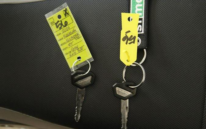 2024 Kawasaki KLX300