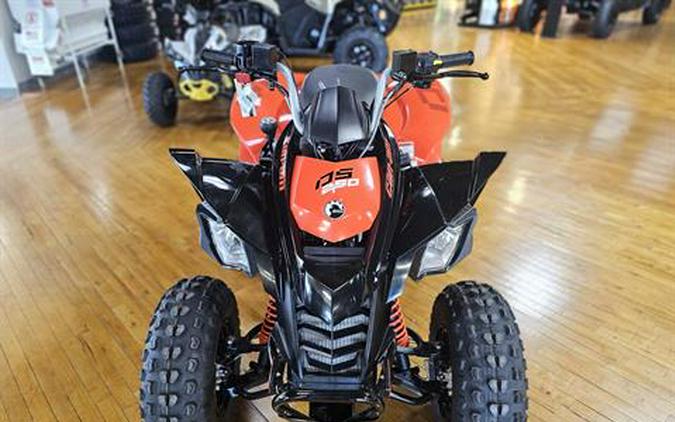 2026 Can-Am DS 250