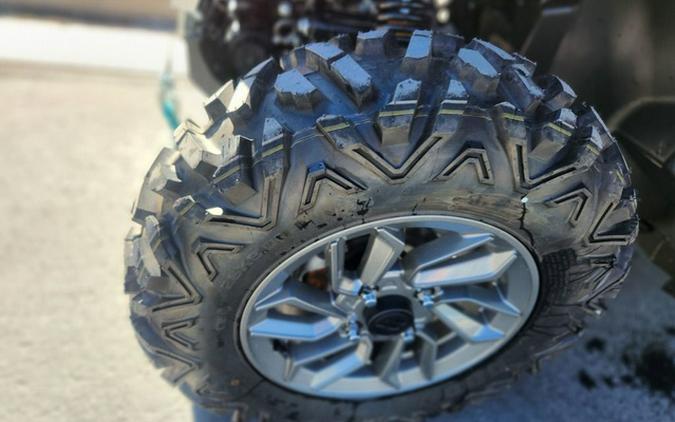 2025 CFMOTO ZFORCE 950 Trail