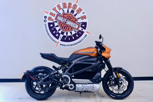 2020 Harley-Davidson LiveWire First Ride