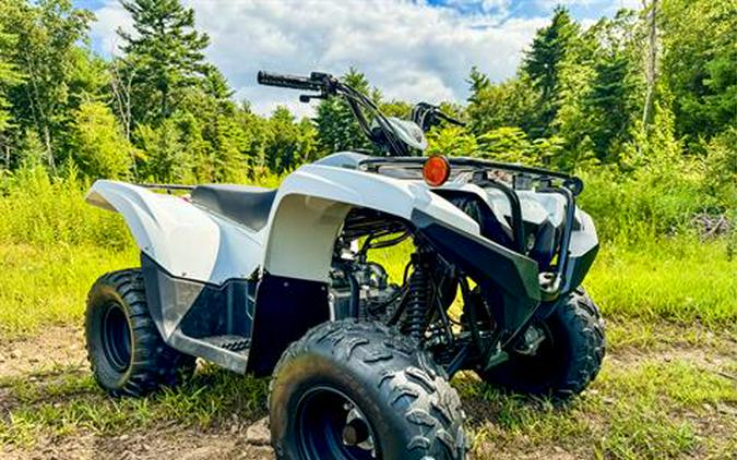 2024 Yamaha Grizzly 90