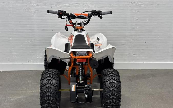 2026 Kayo Fox / Storm 70