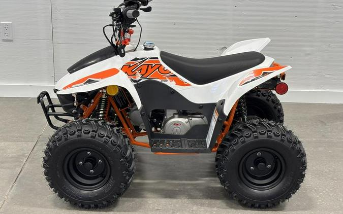 2026 Kayo Fox / Storm 70