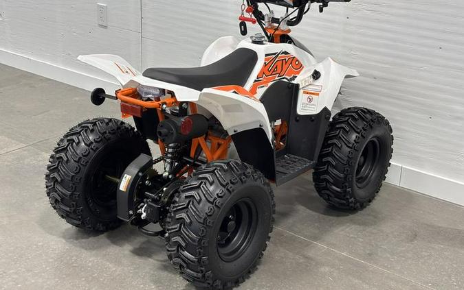 2026 Kayo Fox / Storm 70