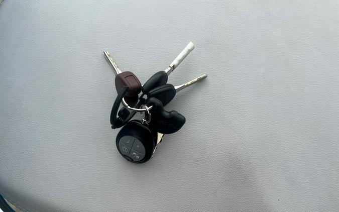 2019 Vespa Primavera 150 50 Anniversario