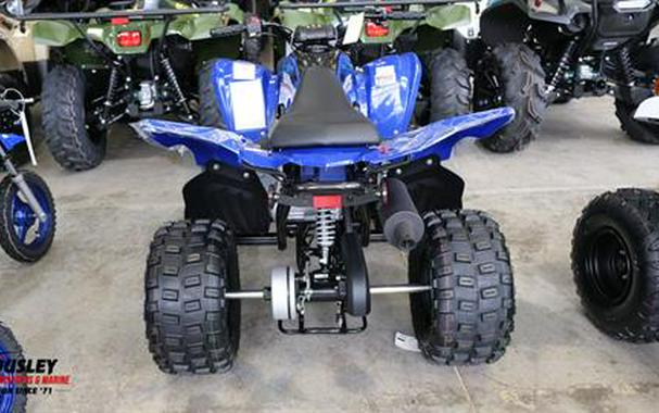 2024 Yamaha Raptor 110