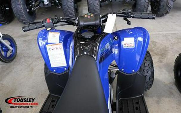 2024 Yamaha Raptor 110