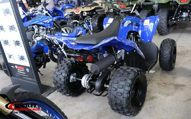 2024 Yamaha Raptor 110