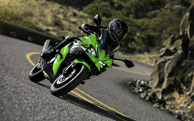 2026 Kawasaki Ninja 500 SE ABS