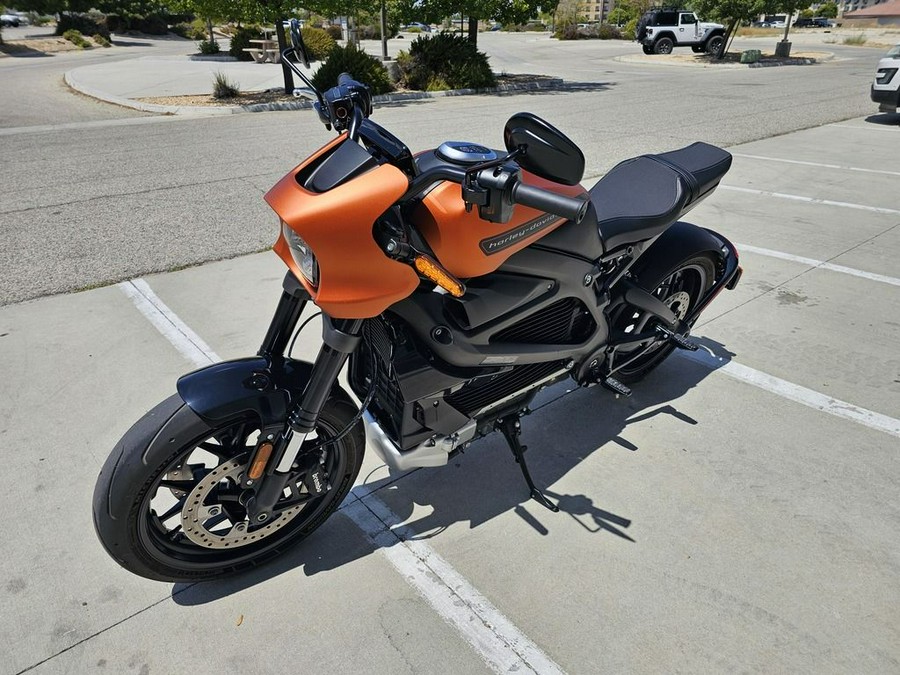 2020 Harley-Davidson® ELW - LiveWire™