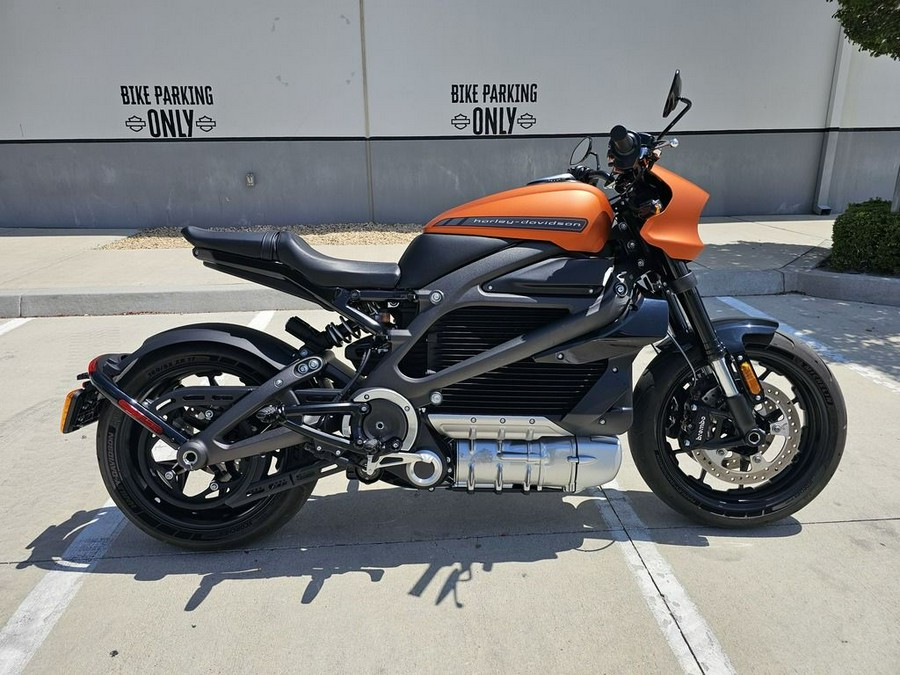 2020 Harley-Davidson® ELW - LiveWire™