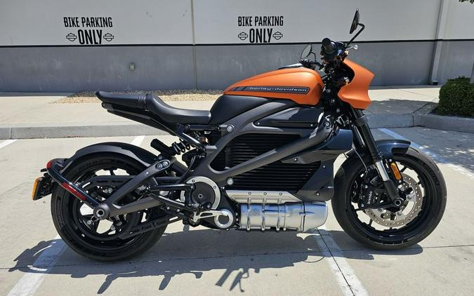 2020 Harley-Davidson LiveWire Review: 23 Fast Facts