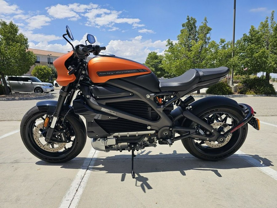 2020 Harley-Davidson® ELW - LiveWire™