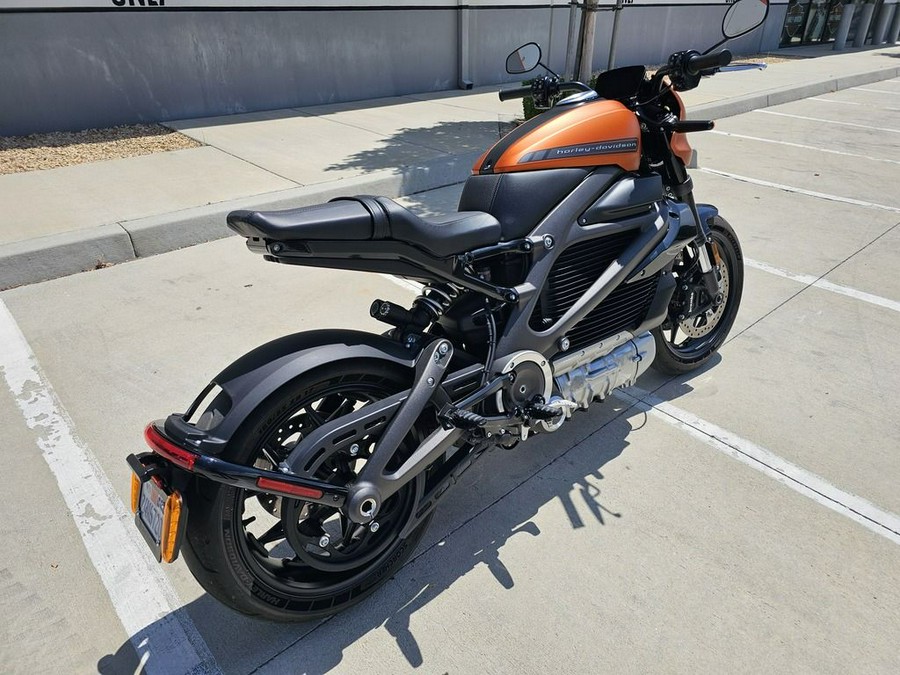 2020 Harley-Davidson® ELW - LiveWire™