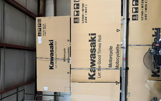 2026 Kawasaki Versys®-X 300 ABS