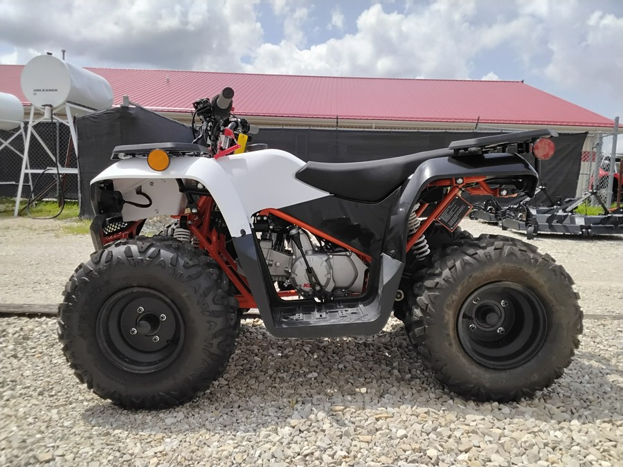 2026 Kayo Bull 125