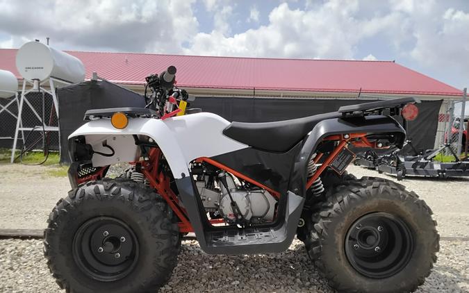 2026 Kayo Bull 125