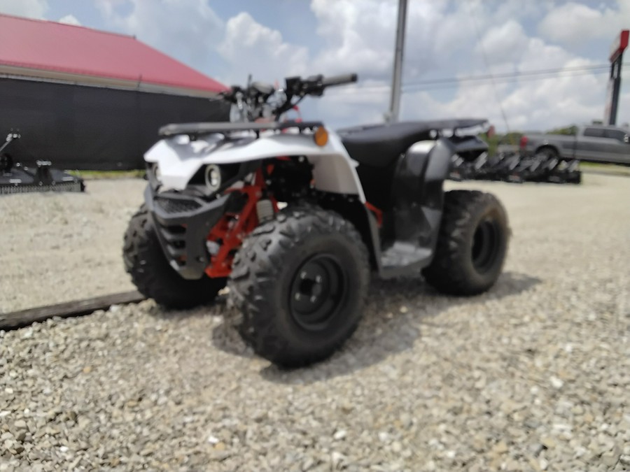 2026 Kayo Bull 125