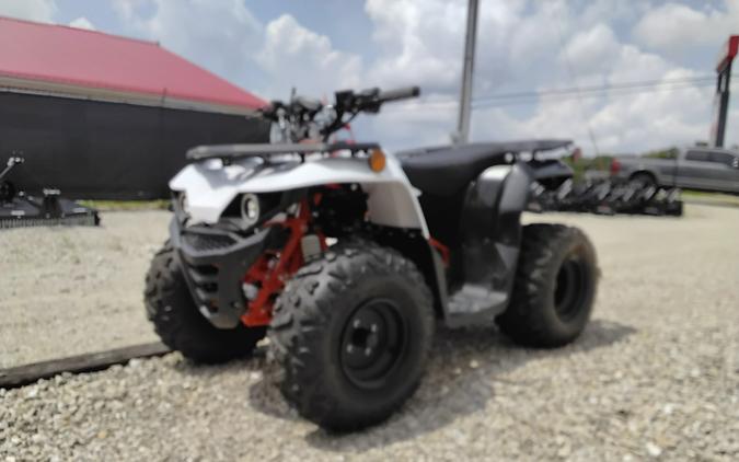 2026 Kayo Bull 125
