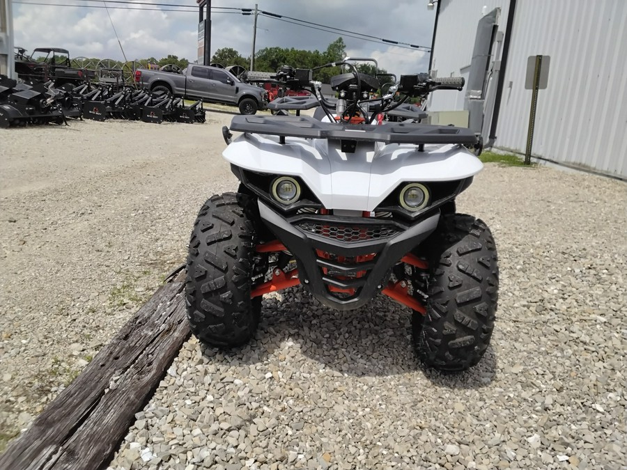 2026 Kayo Bull 125