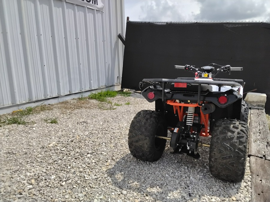 2026 Kayo Bull 125