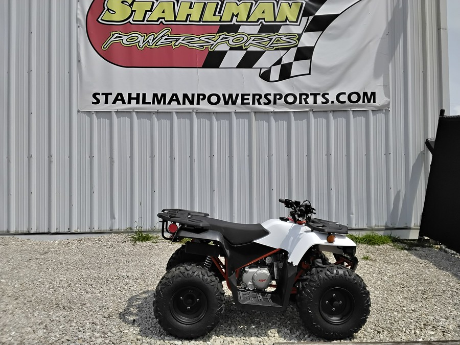 2026 Kayo Bull 125