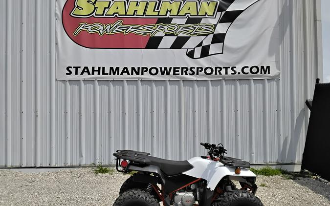 2026 Kayo Bull 125