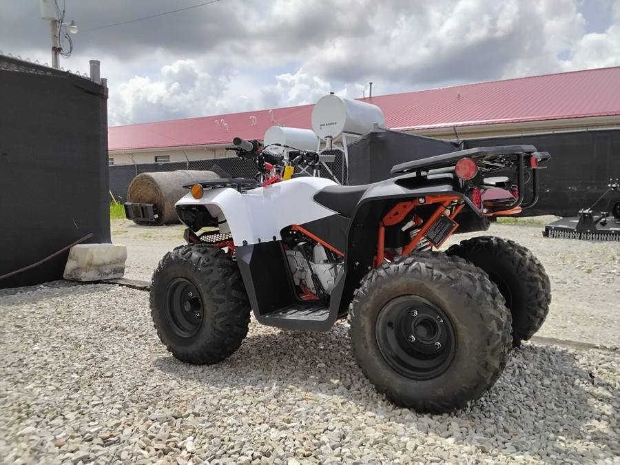 2026 Kayo Bull 125