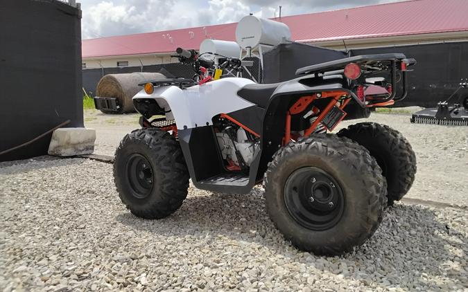 2026 Kayo Bull 125