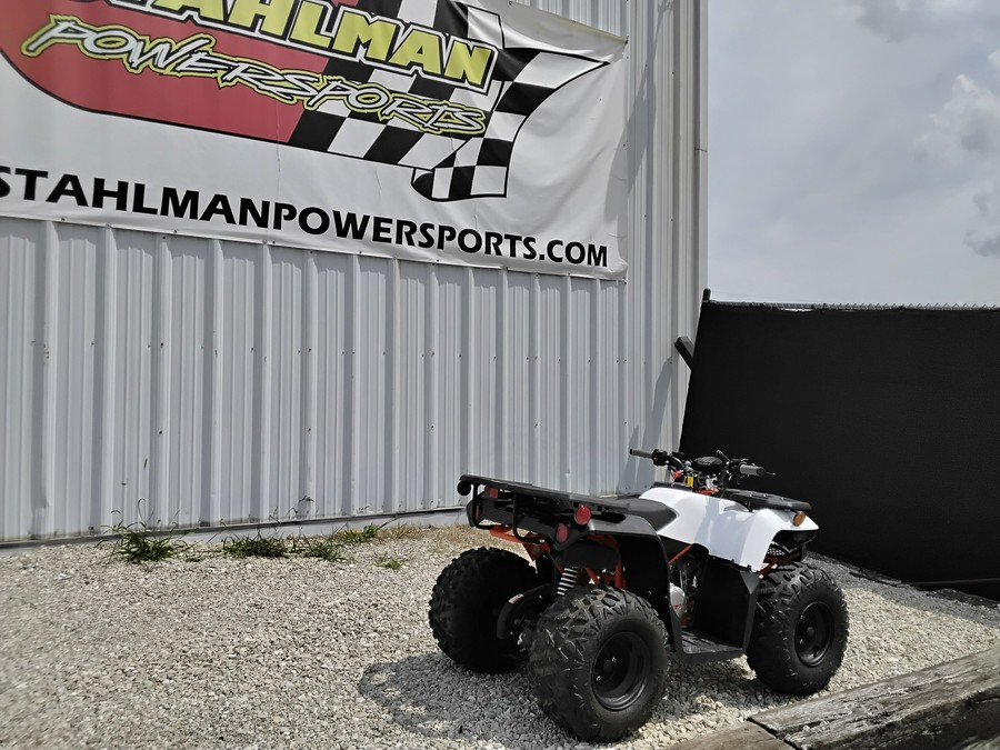 2026 Kayo Bull 125