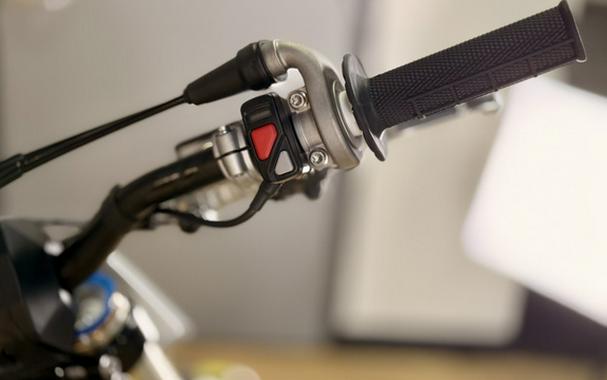 2025 Triumph TF 250-X