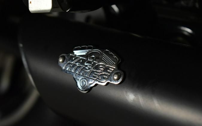2019 Harley-Davidson Sport Glide FLSB