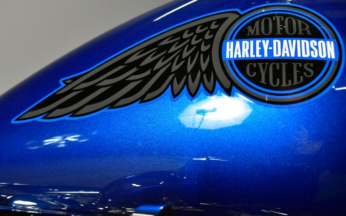 2025 Harley-Davidson Low Rider ST FXLRST