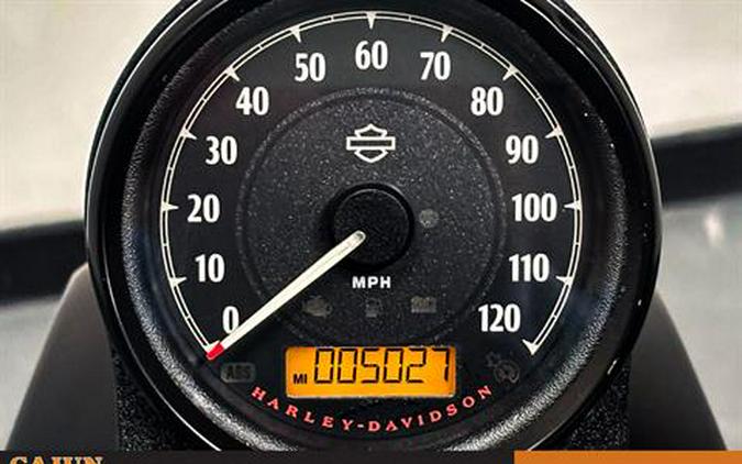 2022 Harley-Davidson Iron 883™