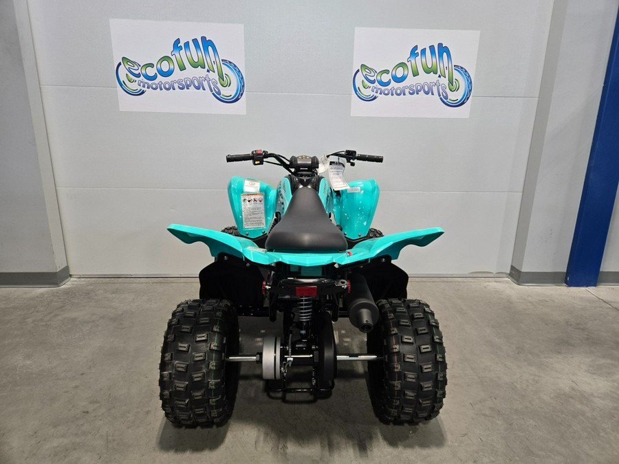 2025 Yamaha Motor Corp., USA Raptor 110