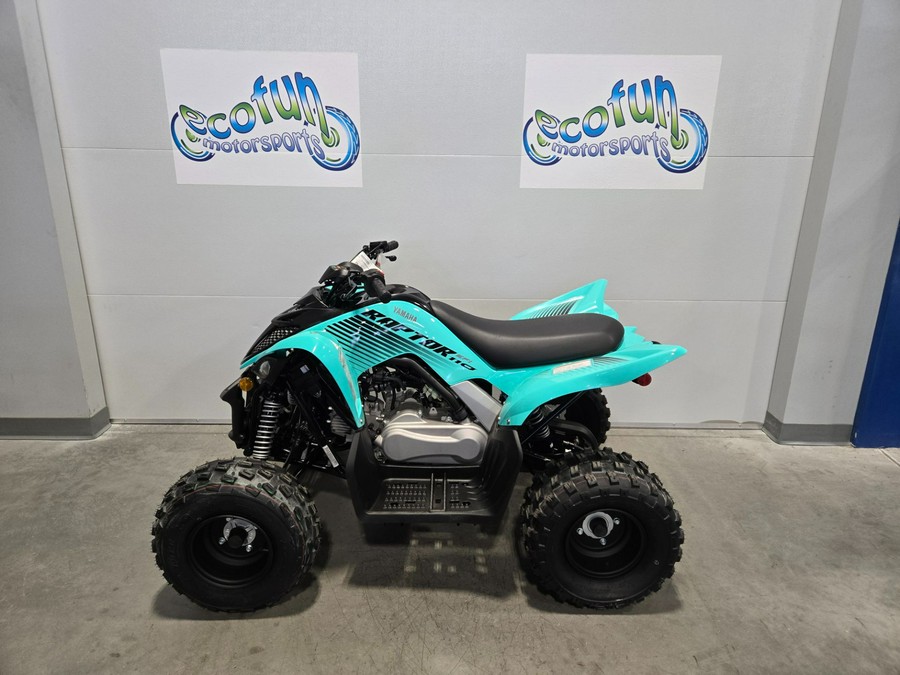 2025 Yamaha Motor Corp., USA Raptor 110