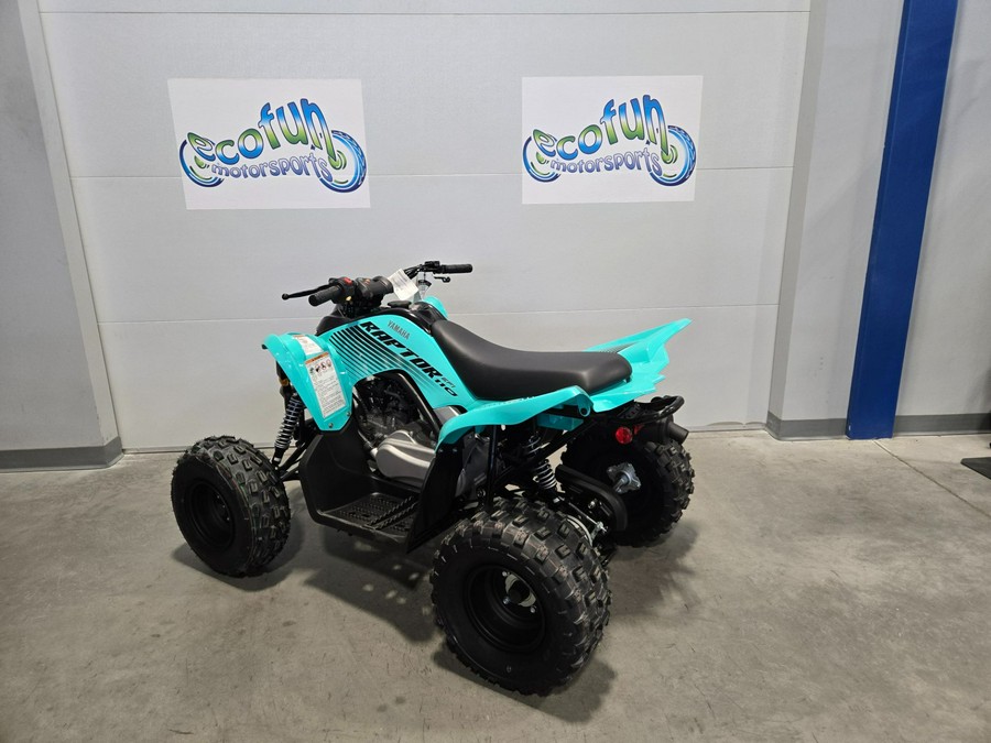 2025 Yamaha Motor Corp., USA Raptor 110